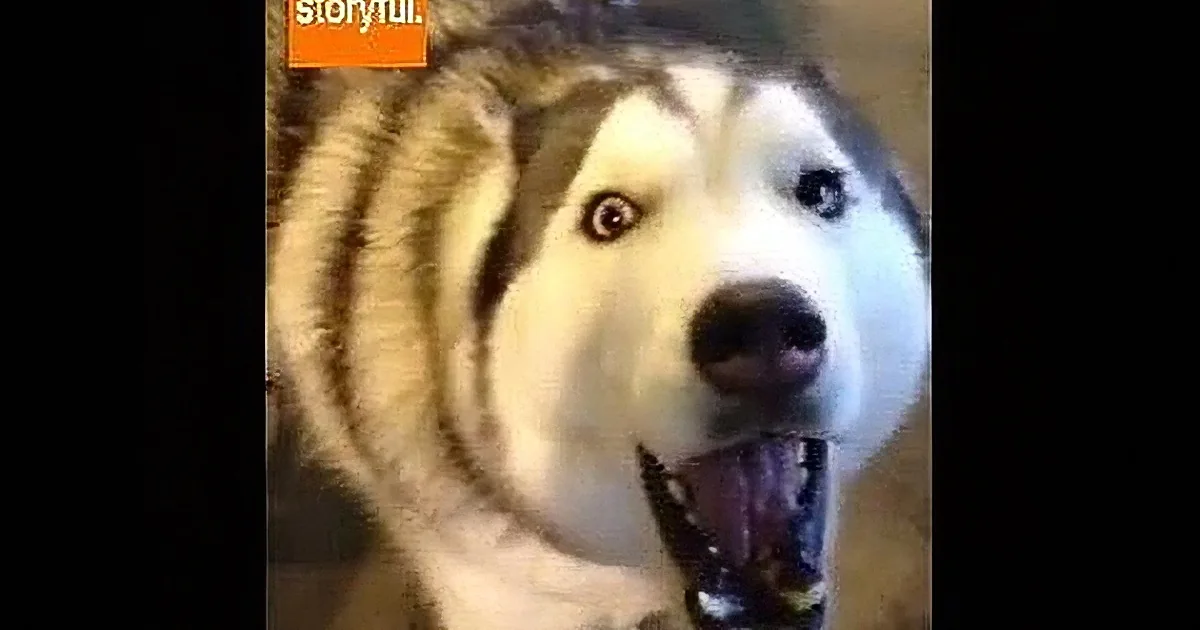 A close-up of a husky dog with a surprised expression, looking directly at the camera.
