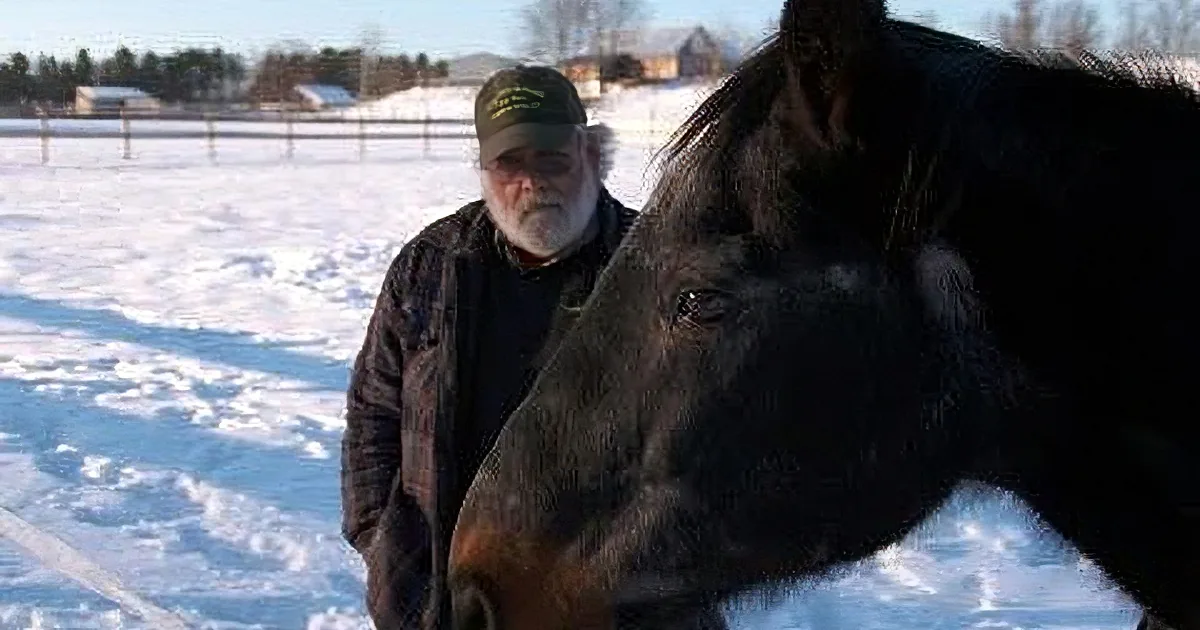 A man stands in snowy field behind a close-up of a black horse's face.