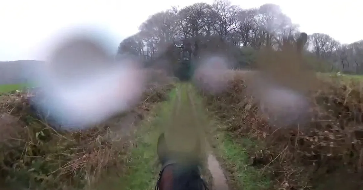 A horse's legs and hooves are blurred in motion, running through a grassy field with trees in the background.