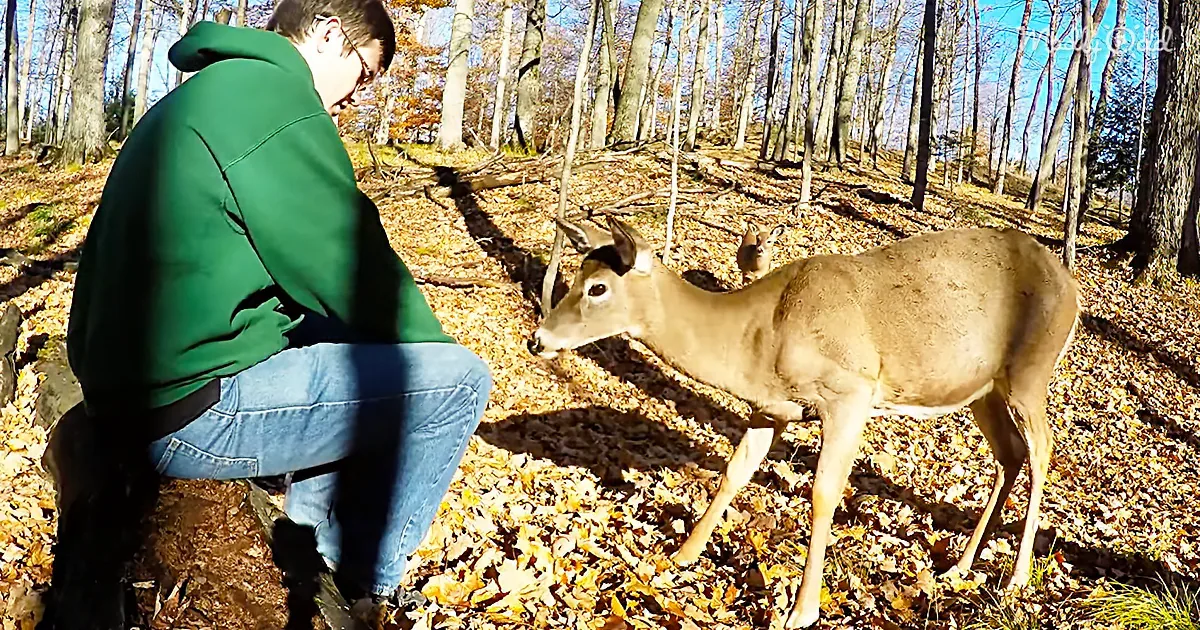 Young Man Patiently Waits in the Forest for Extraordinary Meeting