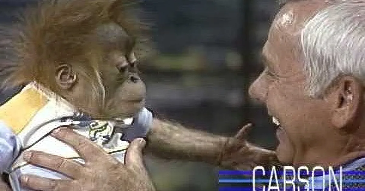 Johnny Carson Has Two Orangutans on ''The Tonight Show''. They May Be the Cutest Things Ever.