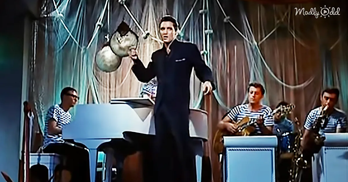 Elvis Presley Sings ''Return to Sender'' in Night Club and Women Are Still Swooning All These Years Later