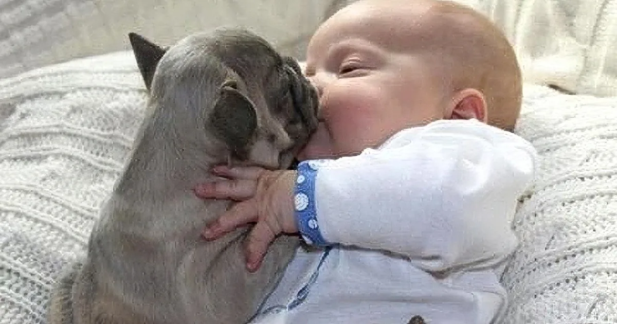 A baby and a dog share a tender moment, with the dog gently touching the baby's hand.