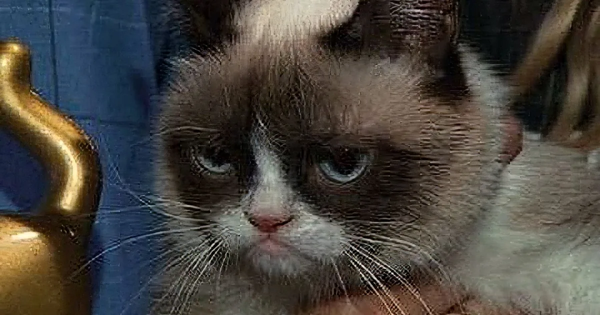 Grumpy Cat Meets Lil Bub at Cat Festival. so Many Adorable Cats Here to See!