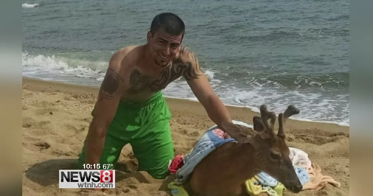 Fisherman Sees Drowning Deer in the Ocean - and Drags Her to Shore to Save Her Life