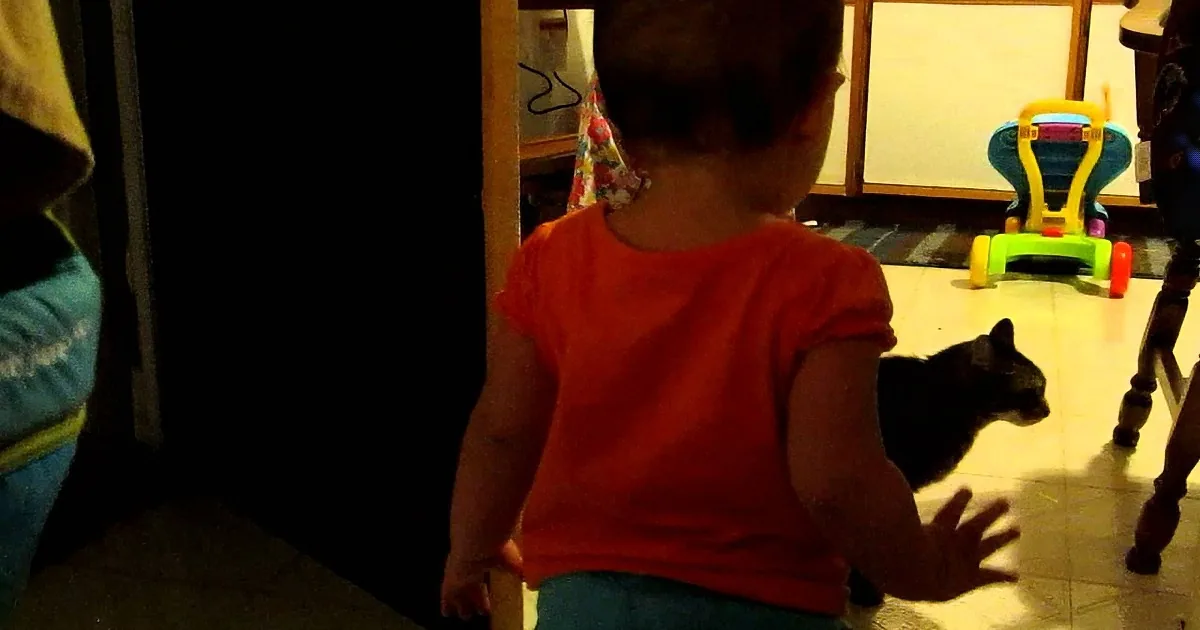 Kid and Cat Have Long and Interesting Talk... About What? Find out Now...
