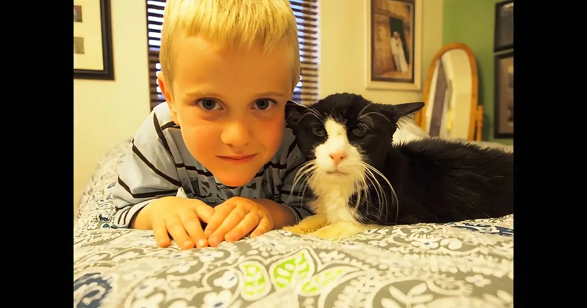 This Family Decided to Adopt a 20-Year-Old Cat. They Immediately Fell in Love