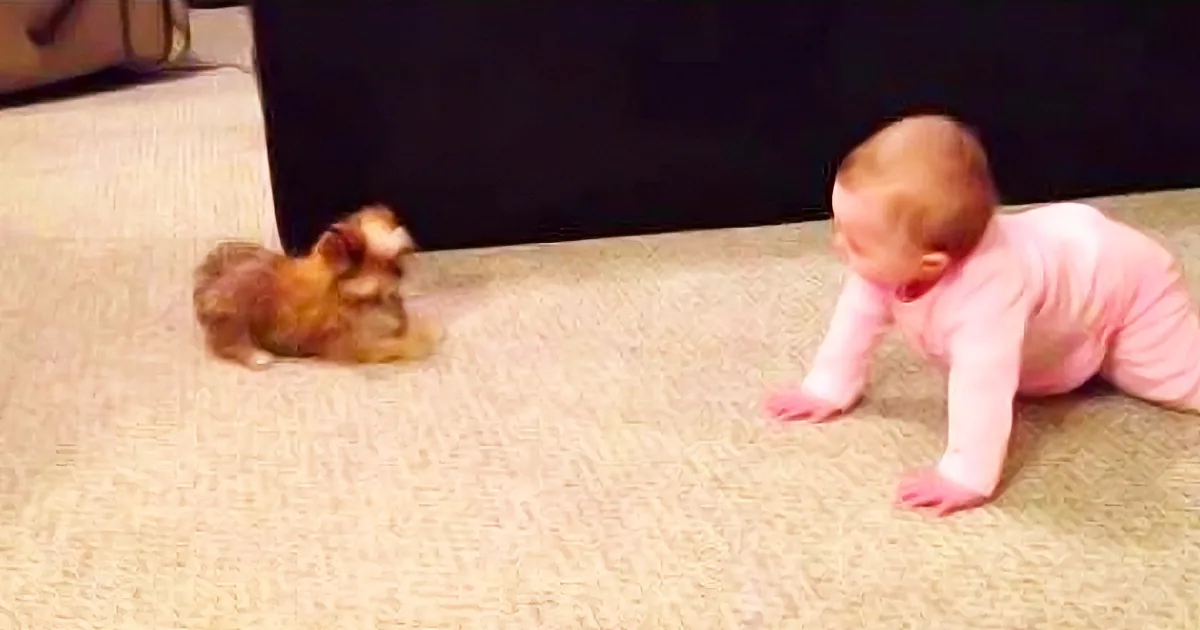 A baby in pink pajamas crawls on a beige carpet while a small dog sits nearby.