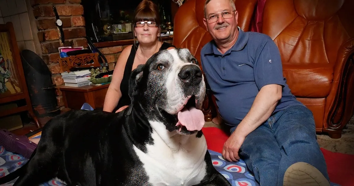 This Couple Adopted a Tiny Shelter Puppy Not Realizing He Was Something Totally Different