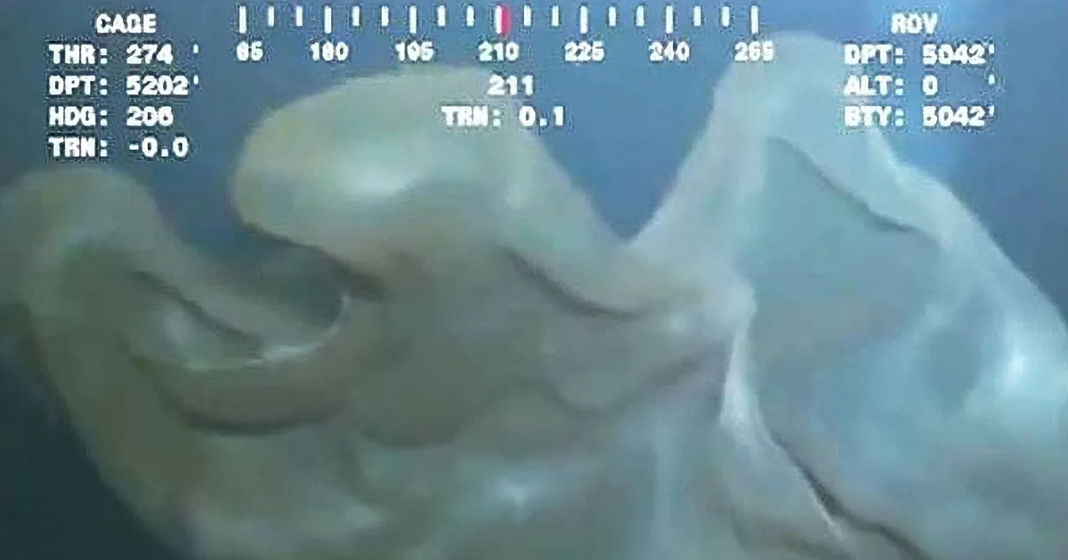 People Are Losing Sleep After Spotting This Horrifying Deep Sea Monster