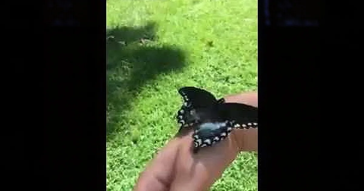 This Teenager Brings Home a Very Unique Creature. Weeks Later, She Gets a Huge Surprise
