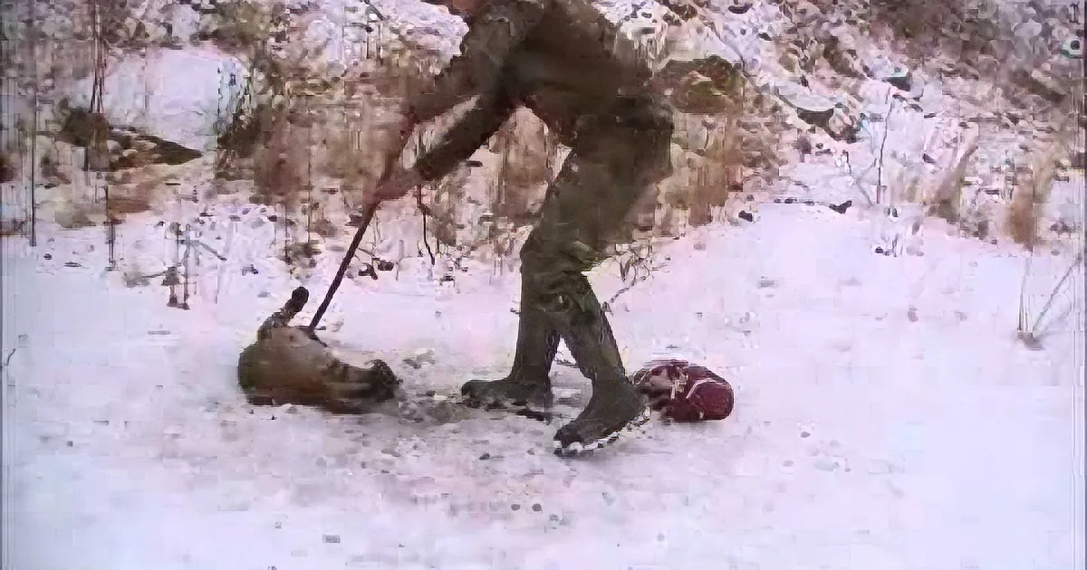 These Two Men Rescue This Bobcat Stuck in a Bear Trap by Designing a Ridiculous Plan