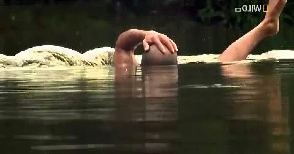 Scientists Can''t Believe What This Brave Man Does With a Gigantic Crocodile