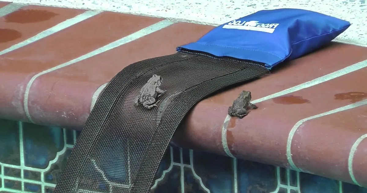 Countless Animals'' Lives Are Being Saved by This Totally Brilliant Invention