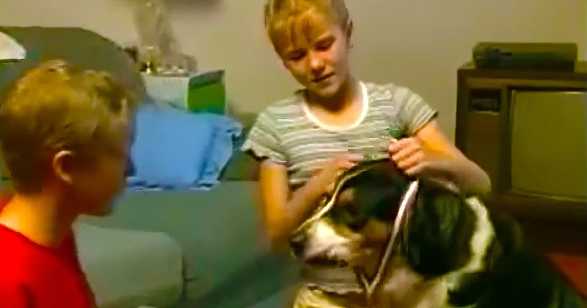 A boy in a striped shirt holds a bag while another boy in a red shirt looks on.