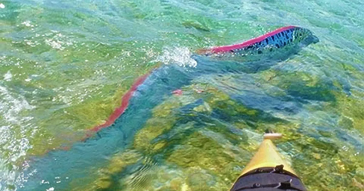 This Gigantic Sea Serpent Discovered in the Philippines Is Nightmare Worthy