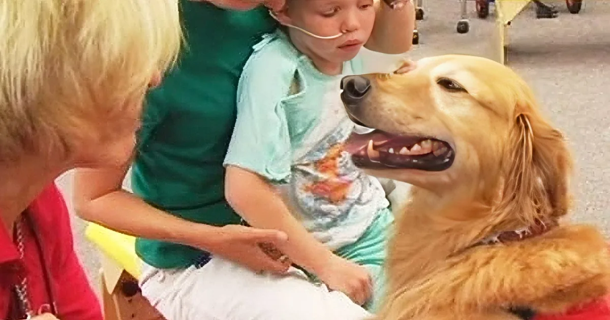 A Pound of Dog Food Will Be Donated to Animal Shelters for Every View This Video Receives