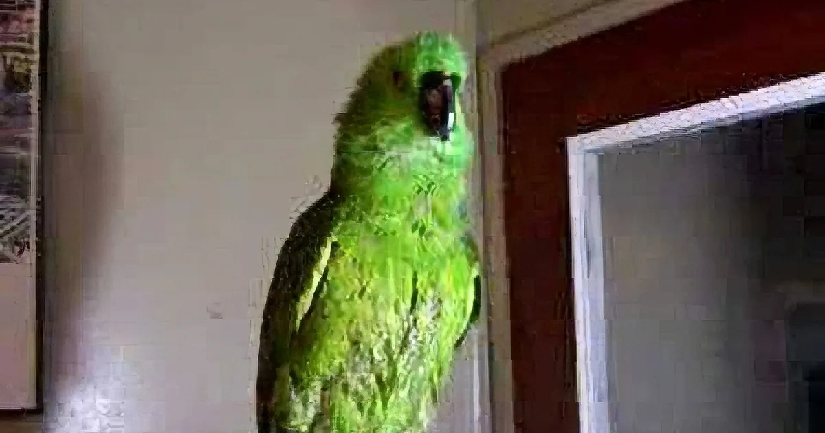 Mom Called Her a ''Bad Bird'' but She Never Expected This Song in Response!