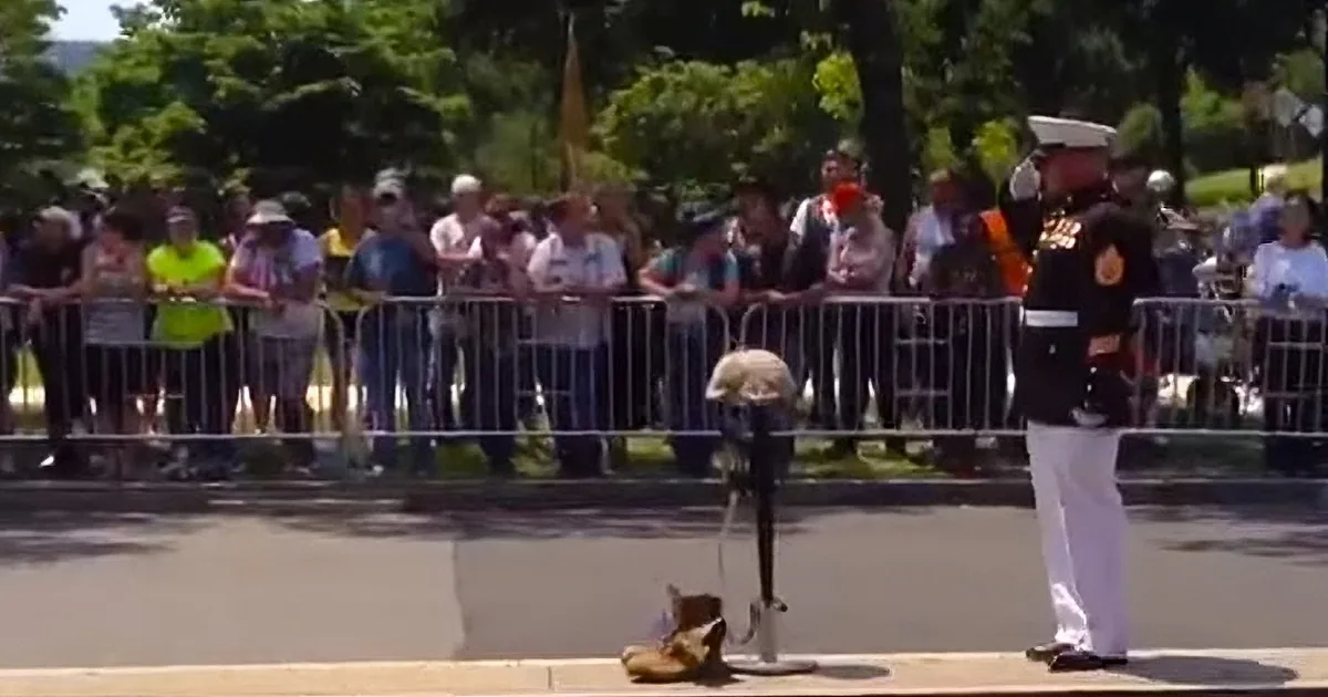 Female Soldier Stops Her Bike During a Parade to Lay Flowers and Salute the Fallen