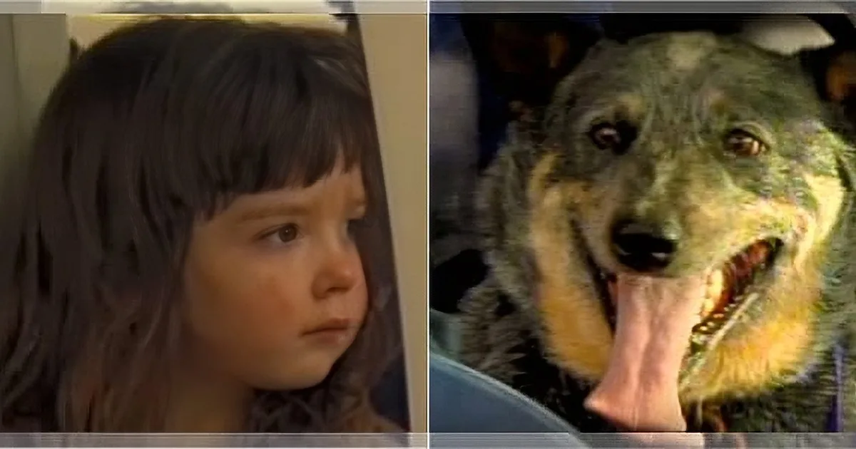 A young girl with long hair looks to the side, while a dog with a wide-open mouth and visible tongue looks directly at...