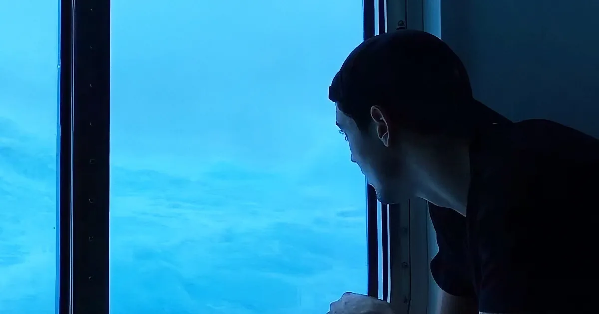 Giant Waves Crash on Cruise Ship, Passenger''s Captured Footage Is Now Giving Everyone Chills