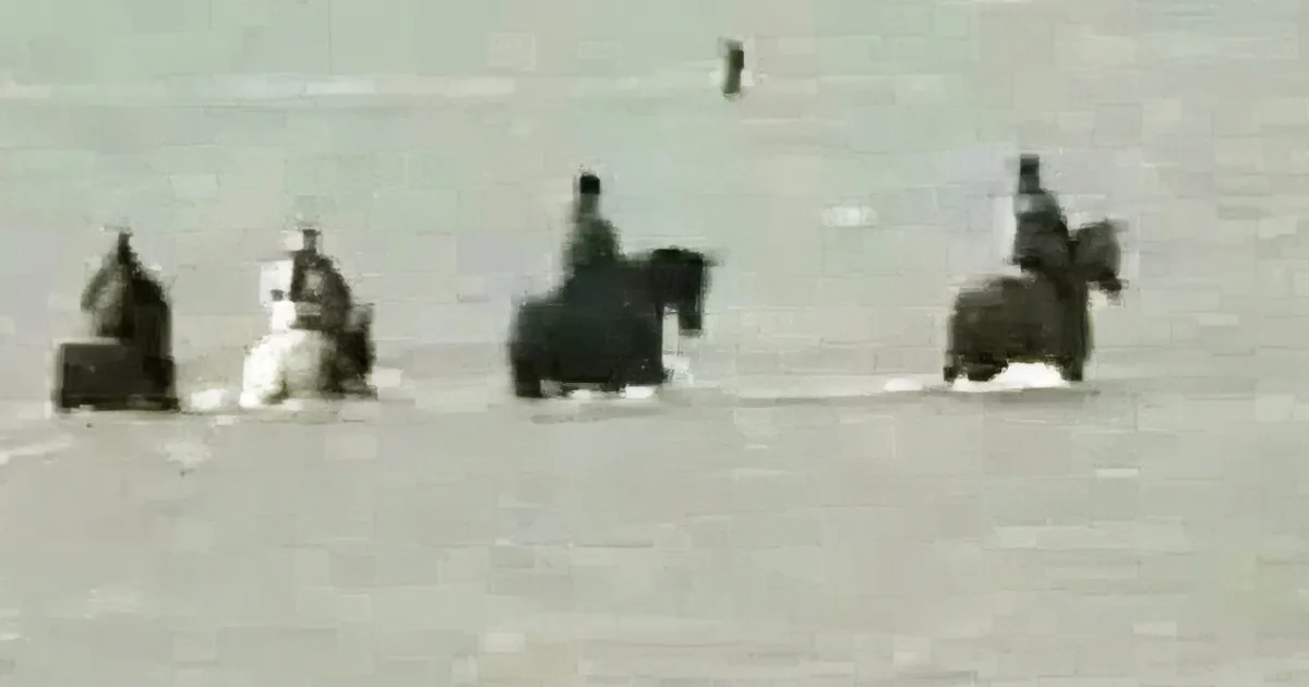 100 Horses Were on the Brink of Death, Then These 7 Brave Women Risked Their Lives to Save Them