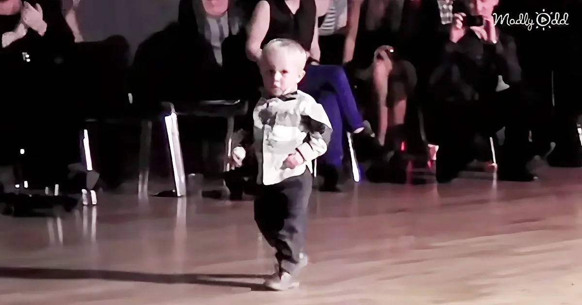 A toddler in a bow tie and suit runs across a wooden floor, surrounded by seated spectators.