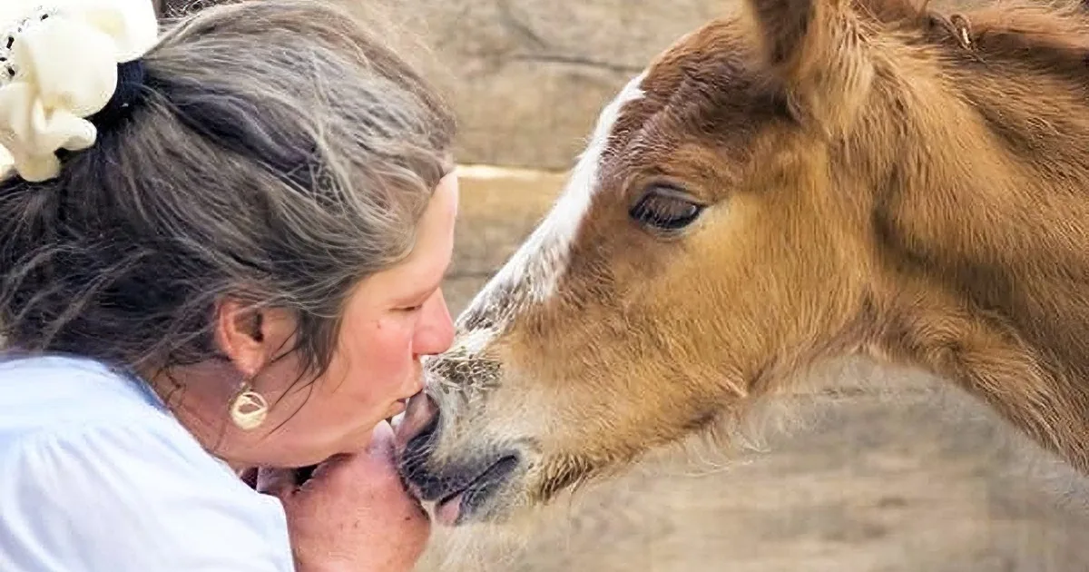 This Foal Is Destined to Be Euthanized Since He''s Unable to Be a Racehorse