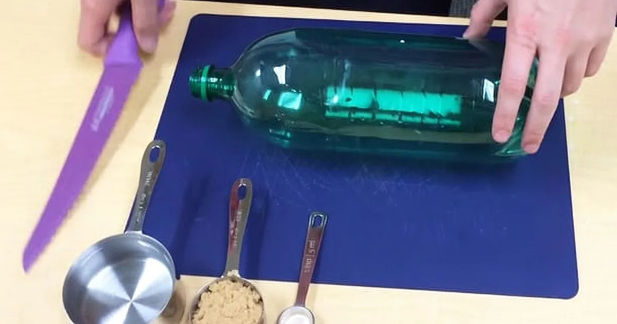 This 3-Ingredient Solution Will Keep You From Ever Dealing With Mosquitoes in Your Yard Again