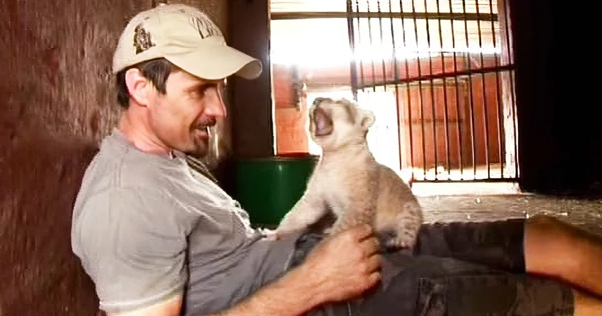 Watch the ''Lion Whisperer'' Approach Lion Cubs When Their Mom Is in the Same Room