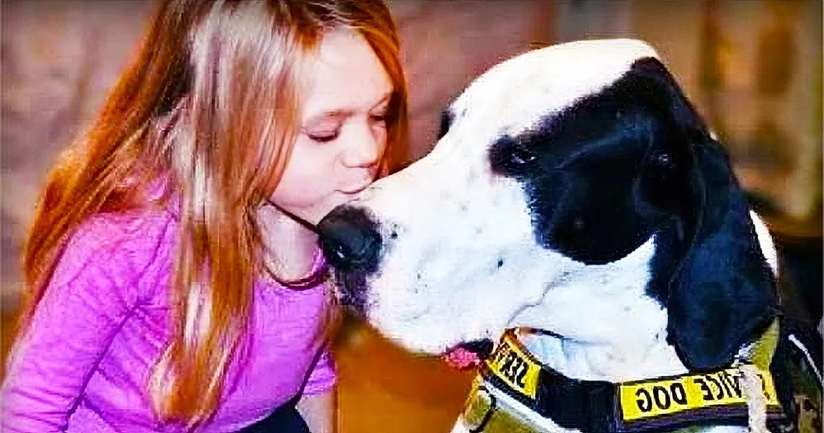 A Day of Epic Indulgence for a Huge Dog That Helped a Little Girl Walk Again