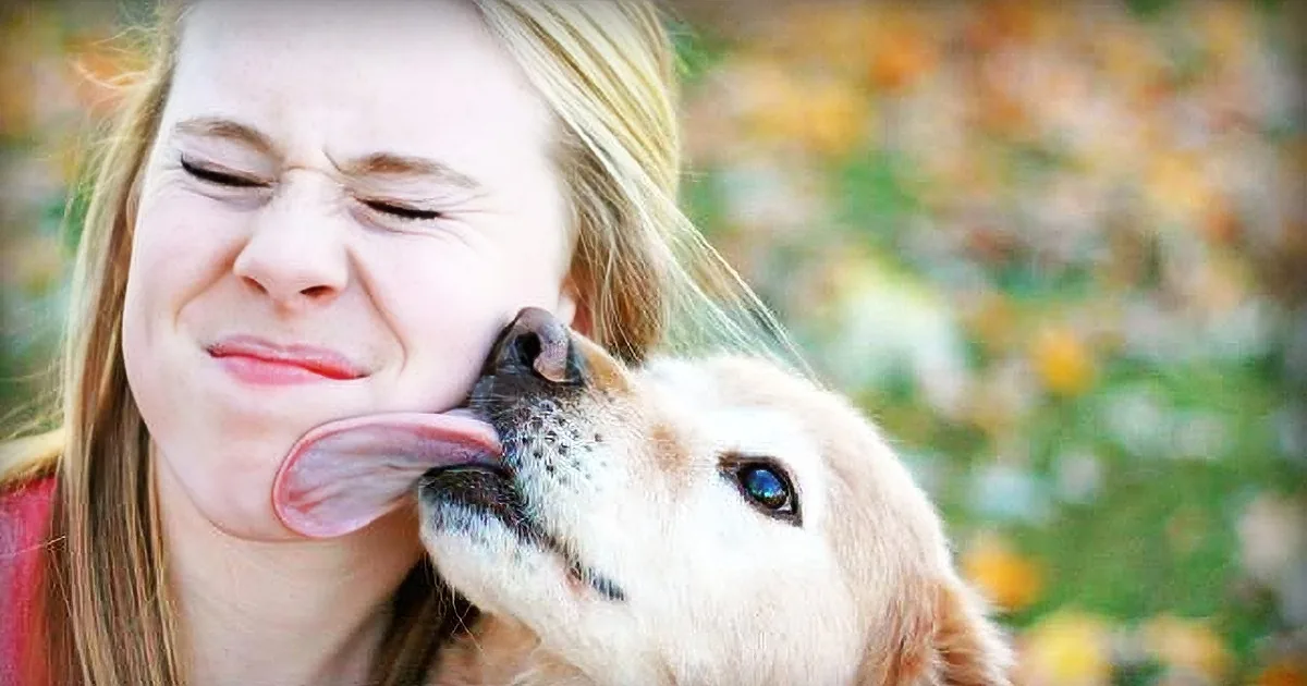 Humans and Dogs Are Alive With Bacteria. Find out if It''s Safe to Let a Dog Kiss You