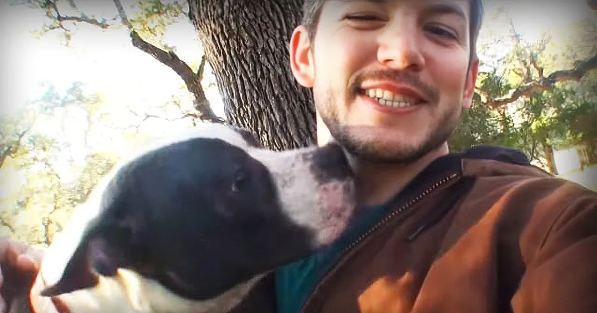 Just Two Minutes From Being Euthanized, a Lovable Dog Gets a Reprieve Thanks to a Caring Vet
