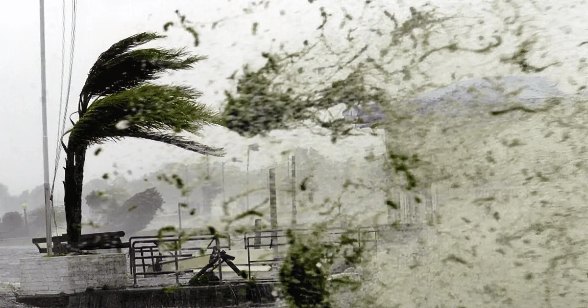 A tree bends dramatically in strong winds, with heavy rain and debris swirling around.