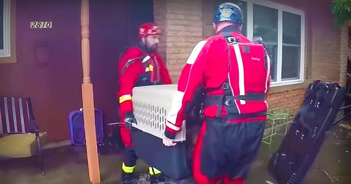 Watch as These Animals Are Saved From the Horrifying Damage of Hurricane Harvey
