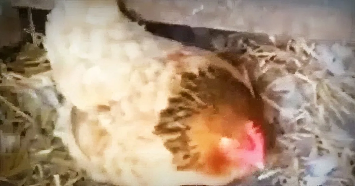 A chicken with a red comb and wattles is nestled in a straw-filled coop.