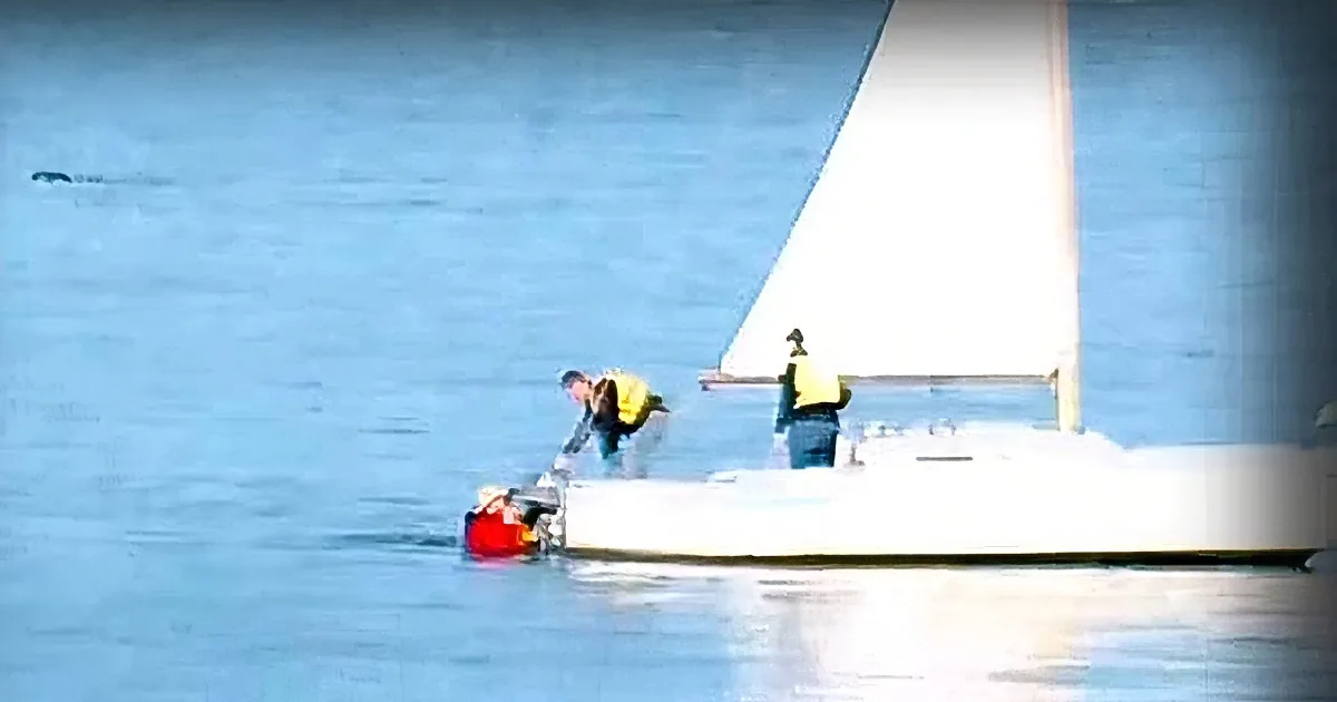 A person in a yellow vest is working on a small white sailboat in calm blue water.