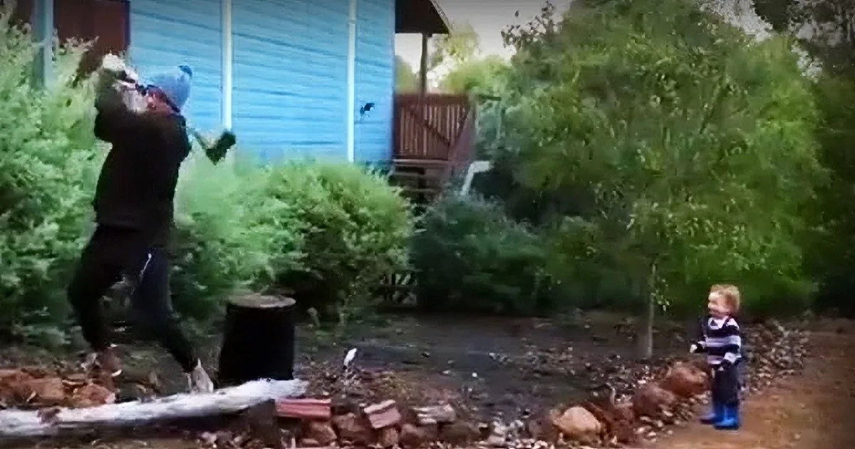 This Adorable Toddler Finds His Dad''s Wood Chopping to Be Absolutely Hilarious