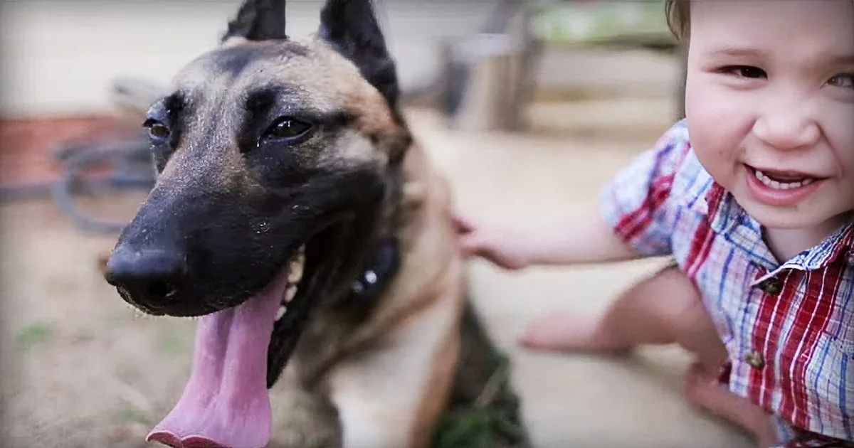 Soldier Adopts Heroic Dog That Was Shot 4 Times and Saved His Life