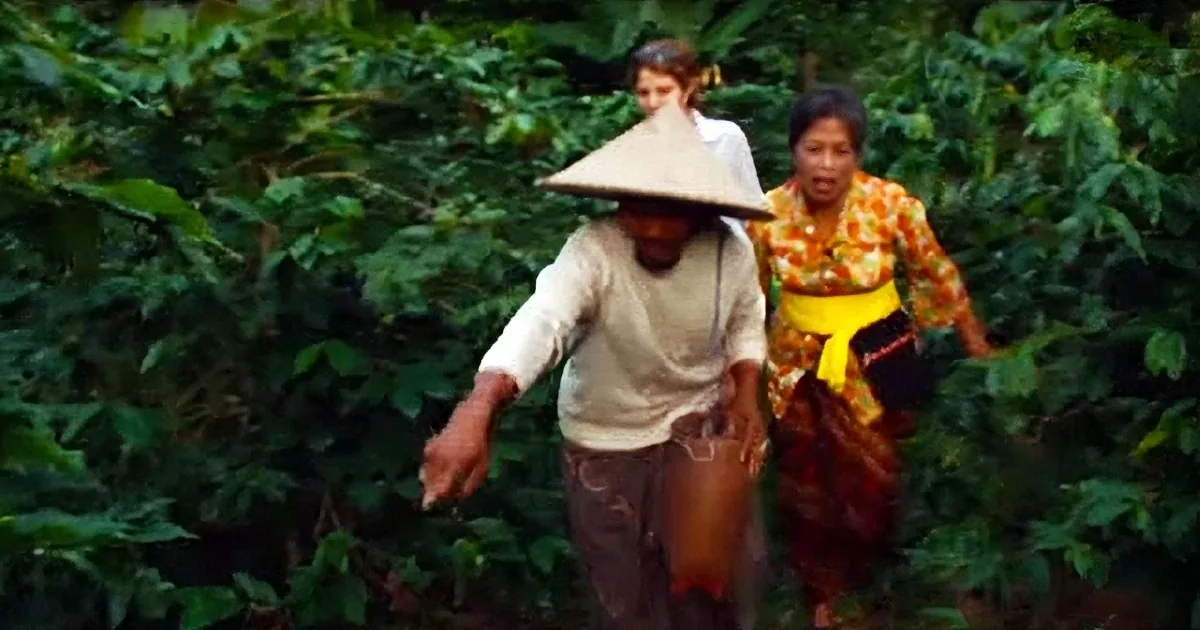 The World''s Most Expensive Coffee Has a Shocking Secret Ingredient