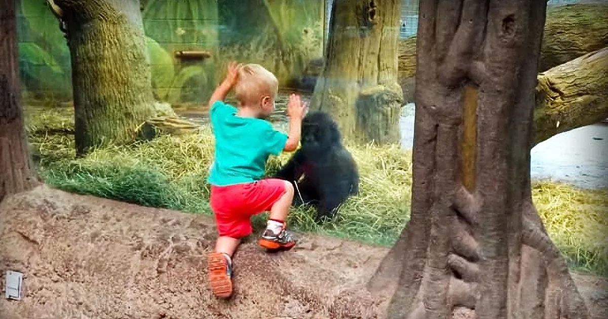 For One Little Boy, a Trip to the Zoo Was a Chance to Play With an Unusual New Friend