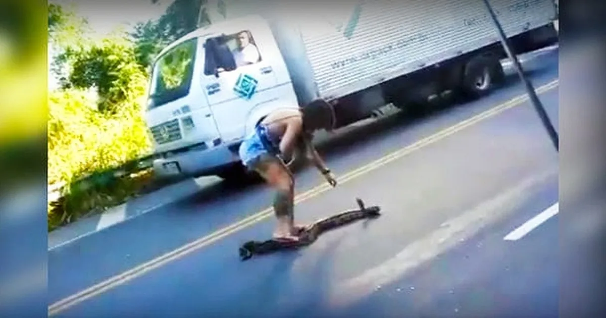 A person is lying on the road, seemingly injured, with a truck in the background.