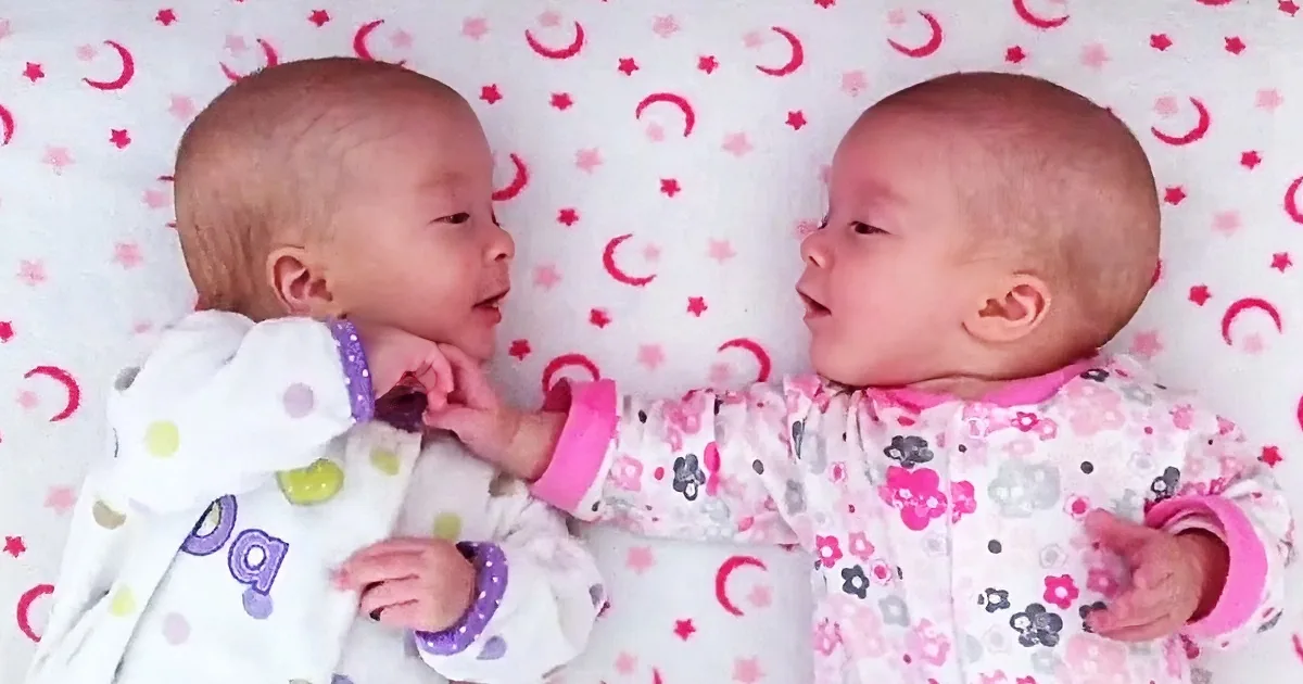 Identical Twin Girls See Each Other for the First Time. They Have One of Those Adorable Conversations
