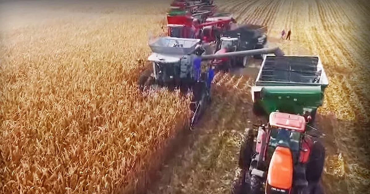 Cancer-Stricken Farmer Needs Help With the Harvest. the Community''s Outpouring Was Amazing