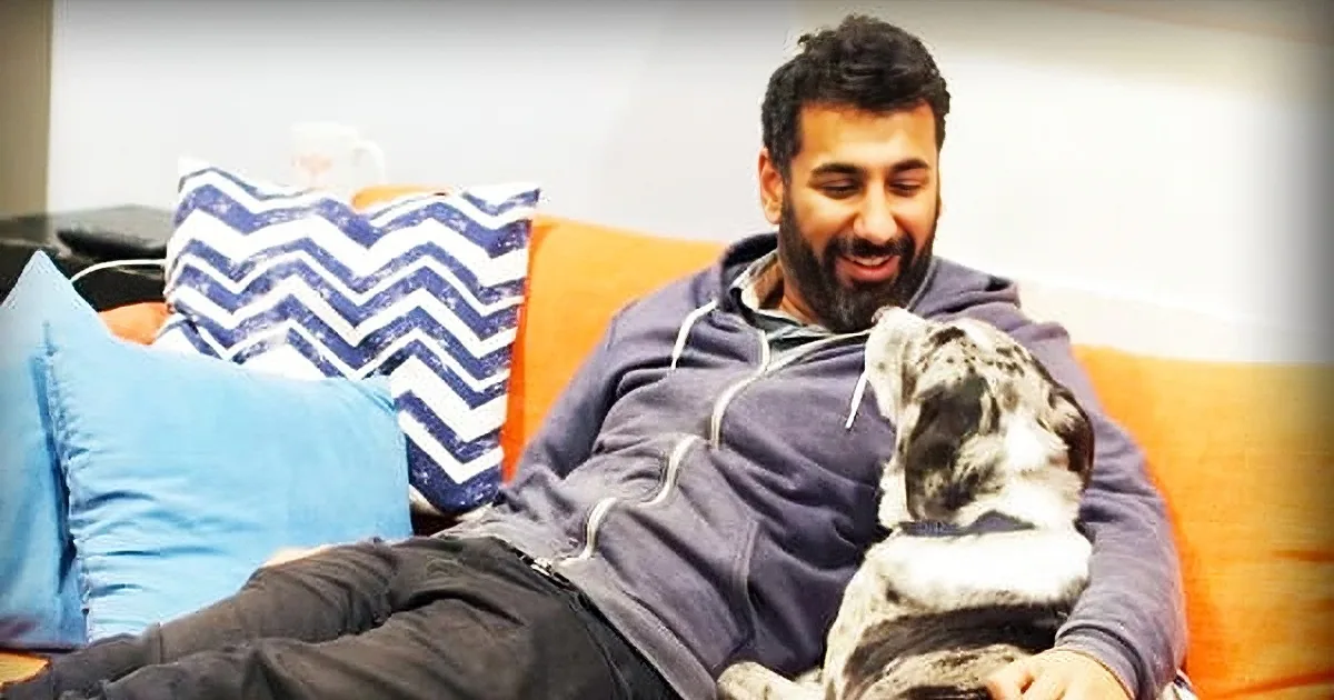 A man in a blue hoodie sits on an orange couch, smiling at a black and white dog resting on his lap.