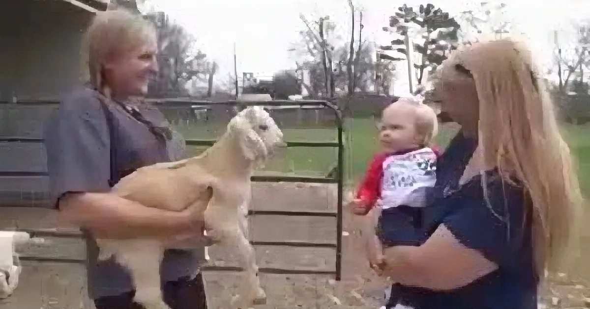 A woman holds a baby while another holds a lamb in a fenced outdoor area.