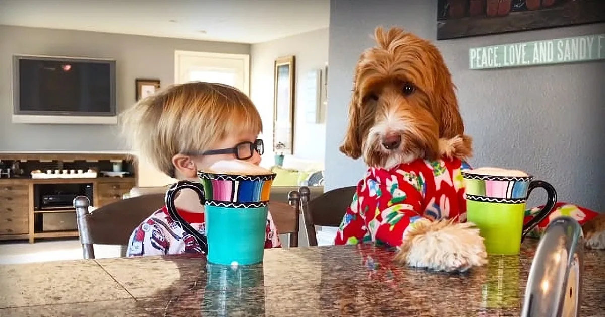 A child and a dog in matching pajamas sit at a kitchen counter with colorful mugs, creating a whimsical scene.