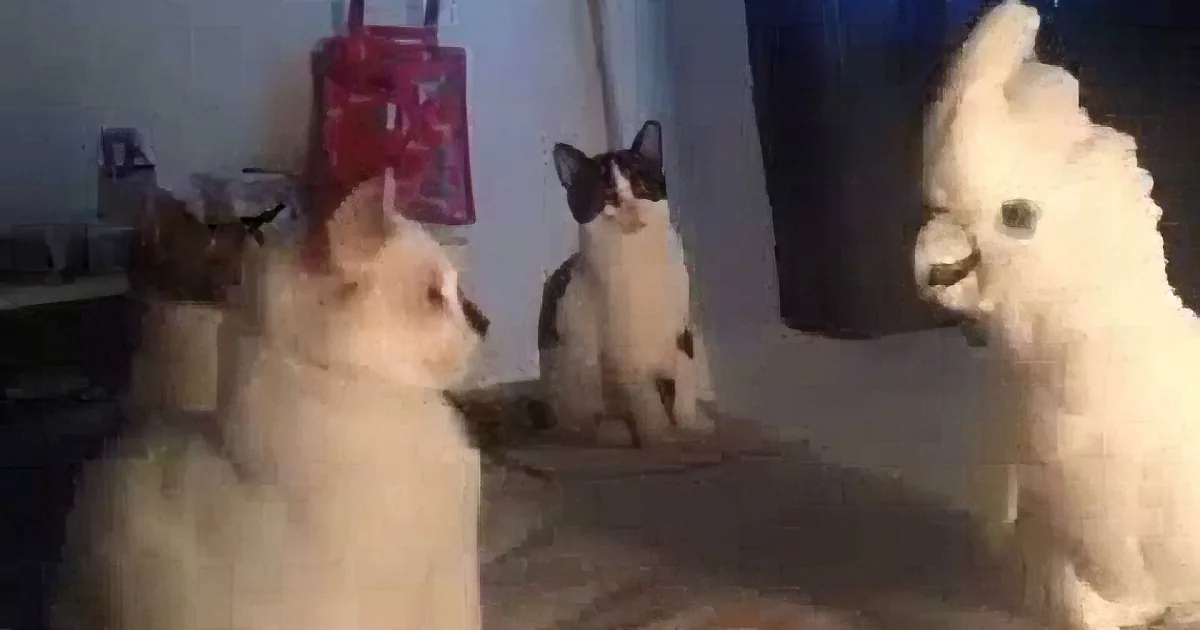 Lonely Parrot Wants to Fit in With a Gang of Cats. What He Does Is Brilliant!