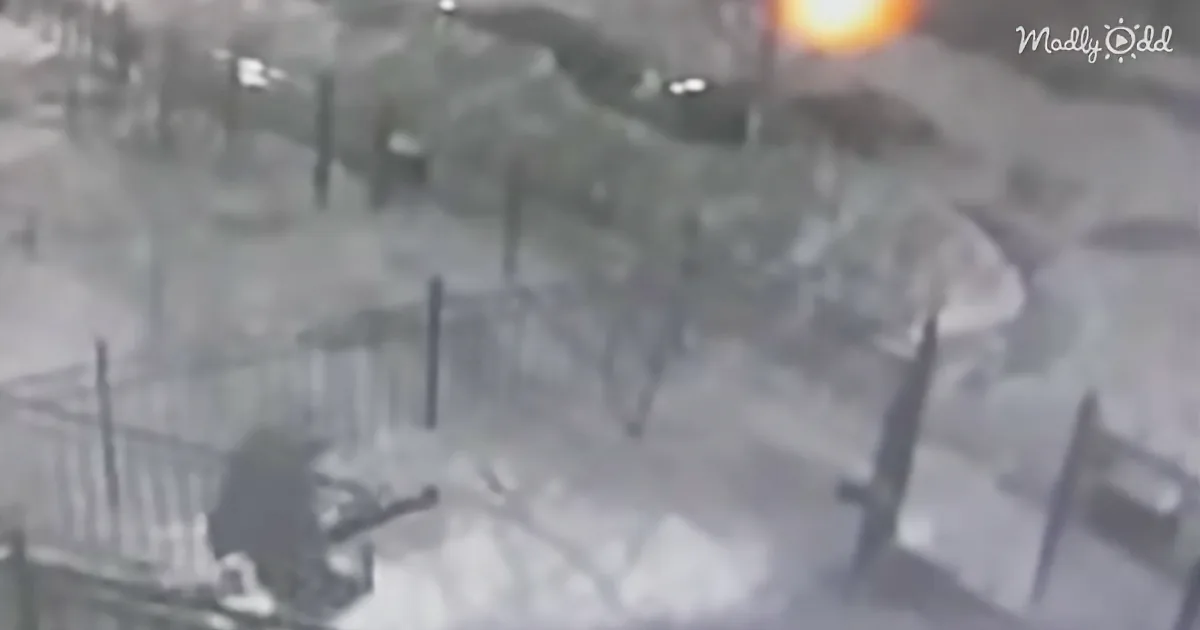 Woman Steals His Snow Shovel but Is Caught on Camera. He Proceeds to Get Epic Revenge