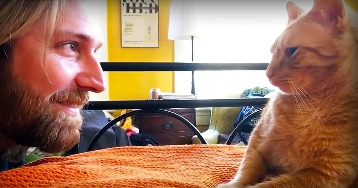 Human Gets Sweet Revenge on His Cat Who Wakes Him up Every Single Day at 4 Am